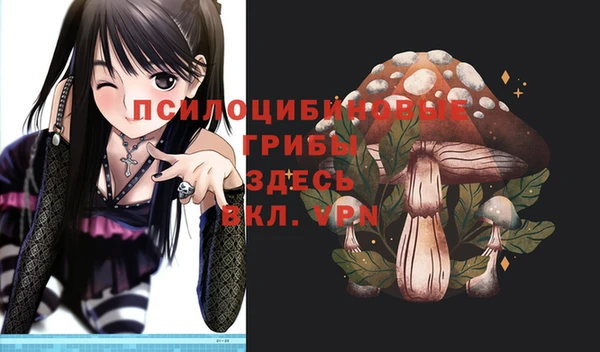 a pvp Арсеньев